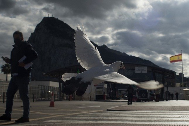 Une colombe vole devant le rocher de Gibraltar, près du poste frontière entre l'Espagne et Gibraltar. 