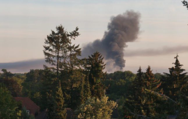 Incendie dans la forêt de Grunewald à Berlin