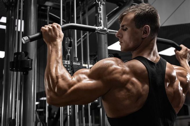 Trenbolone enanthate : Cours sur les stéroïdes